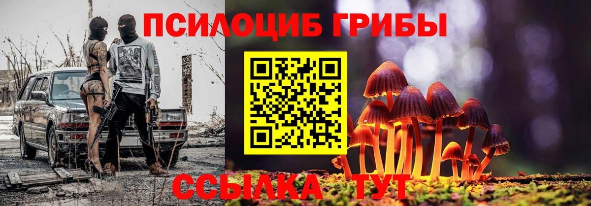 Галлюциногенные грибы Magic Shrooms Электросталь