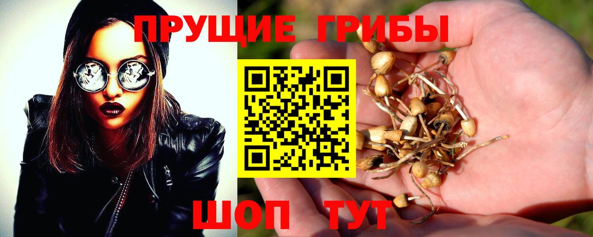 Галлюциногенные грибы мухоморы  Вход с VPN  Электросталь 